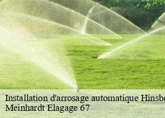 Installation d'arrosage automatique  hinsbourg-67290 Meinhardt Elagage 67 