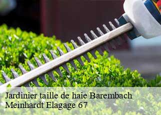 Jardinier taille de haie  barembach-67130 Meinhardt Elagage 67 