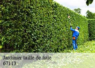 Jardinier taille de haie  67113