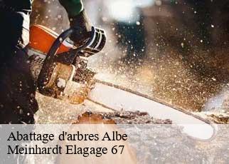 Abattage d'arbres  albe-67220 Meinhardt Elagage 67 