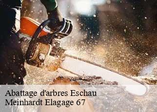 Abattage d'arbres  eschau-67114 Meinhardt Elagage 67 