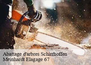 Abattage d'arbres  schirrhoffen-67240 Meinhardt Elagage 67 