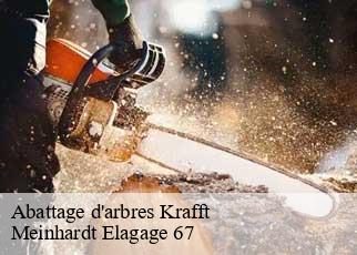 Abattage d'arbres  krafft-67150 Meinhardt Elagage 67 