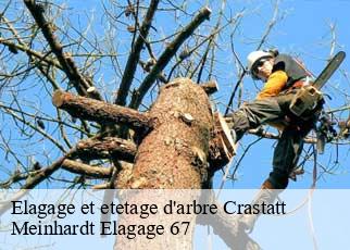 Elagage et etetage d'arbre  crastatt-67310 Meinhardt Elagage 67 