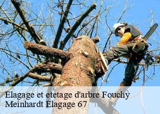 Elagage et etetage d'arbre  fouchy-67220 Meinhardt Elagage 67 