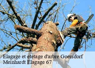 Elagage et etetage d'arbre  goersdorf-67360 Meinhardt Elagage 67 