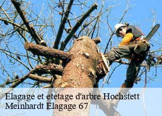 Elagage et etetage d'arbre  hochstett-67170 Meinhardt Elagage 67 