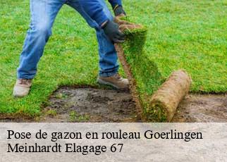 Pose de gazon en rouleau  goerlingen-67320 Meinhardt Elagage 67 