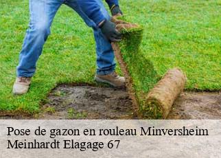 Pose de gazon en rouleau  minversheim-67270 Meinhardt Elagage 67 