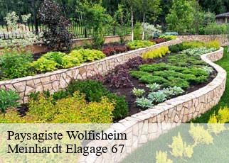 Paysagiste  wolfisheim-67202 Meinhardt Elagage 67 