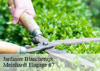 Jardinier  blancherupt-67130 Meinhardt Elagage 67 