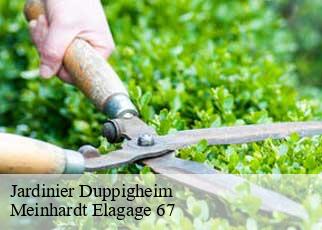 Jardinier  duppigheim-67120 Meinhardt Elagage 67 