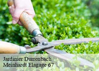 Jardinier  durrenbach-67360 Meinhardt Elagage 67 