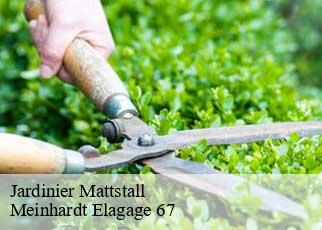 Jardinier  mattstall-67510 Meinhardt Elagage 67 