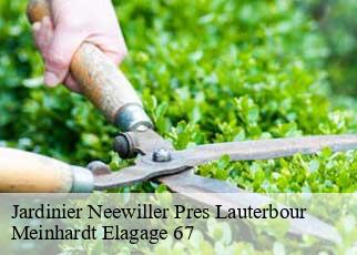 Jardinier  neewiller-pres-lauterbour-67630 Meinhardt Elagage 67 