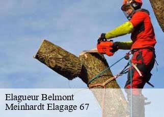 Elagueur  belmont-67130 Meinhardt Elagage 67 